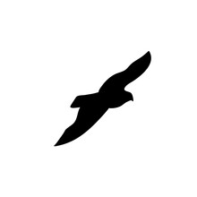 bird flying silhouettes