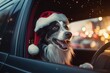 A festive dog in a car wearing a Santa hat
