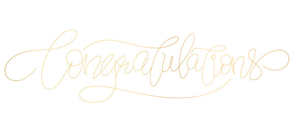 Wall Mural - gold writing congratulations in line art style
