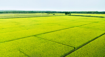 High angle view of farmland in China