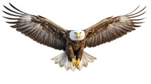 American Eagle Or Bald Eagle On A Transparent Background. Eagle On A Transparent Background