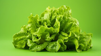 Wall Mural - healthy Lettuce on isolated Green, copy space