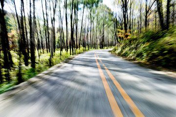 Poster - Empty road in motion blur