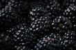 Flat lay of freshly picked blackberries as a textured background. Close up shot.