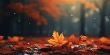 Fototapeta  - autumn fall leaves background cinematic