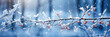 Winter background with tree branch and winter berries, frozen, covered with ice and snow