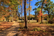 Autumn Path In An East Texas Park with an oil derrick in the distance