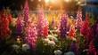 a tranquil garden filled with blooming snapdragons, their colorful spikes of flowers creating a vibrant and playful display