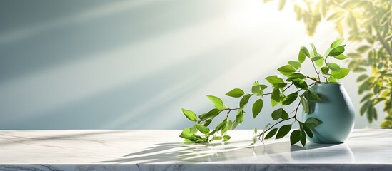 Sticker - Green leaves casting shadows on a white marble wall wood table and room for text creating an elegant Mediterranean summer backdrop