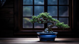 Fototapeta Konie - cascade style pine bonsai, outdoor, natural sunlight, planted in a jade green glazed pot, sitting on an ornate stand, light clouds as background