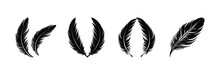 Bird Feather Vector Silhouette Design.