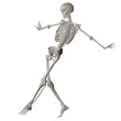 © dada_design - skeleton posing 3d render illustration