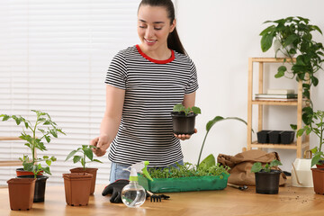 Canvas Print - Planting seedlings. Happy woman near wooden table with different plants in room