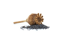 Poppy seeds and seed pod over white background
