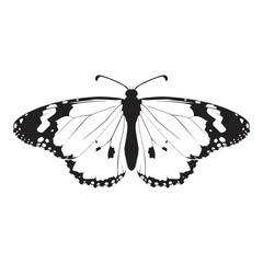 butterfly black and white silhouette SVG