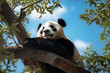 © Surachetsh - The portrait of a cute panda laying on a strength branch tree in a forest pleasingly, Generative AI.
