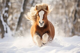 Fototapeta Dziecięca - a cute horse playing in the snow