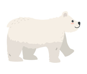 Wall Mural - arctic animal polar bear