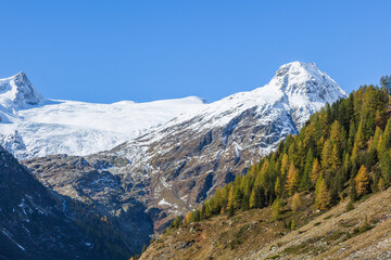 Canvas Print - Snow capped mountain peak at autumn