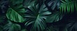© Harvinder - closeup tropical green leaf background. Flat lay, fresh wallpaper banner concept, Generative AI