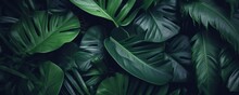 Closeup Tropical Green Leaf Background. Flat Lay, Fresh Wallpaper Banner Concept, Generative AI