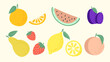 Fruit collection in flat hand drawn style, lemon, orange, peach, strawberry, watermelon, plum, pear illustrations set. Vector graphic