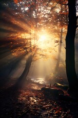 Wall Mural - Autumn Fall Tree with Lighy Rays