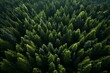 Bird's-eye view of Nordic evergreen forest captured by drone. Generative AI
