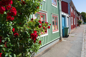 Sticker - Colorful wooden houses on Kvarnholmen island, Kalmar, Sweden