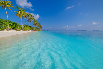 Canvas Print - Amazing sunny panorama at Maldives. Luxury resort seascape. Majestic sea waves coconut palm trees sand sunshine sky. Beauty paradise beach popular destination. Best summer vacation travel background