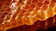 close-up of honeycomb a symbol of sweetness