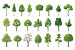 © Fabien - Flat design vector trees icon set. Popular tree species collection. Trees set in flat design. Vector illustration