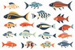 Flat design vector fish icon set. Popular fish species collection. Fish set in flat design. Vector illustration
