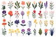 Flat design vector flowers icon set. Popular flowers species collection. flowers set in flat design. Vector illustration
