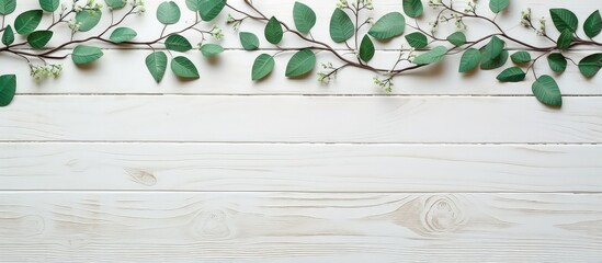 Spring twigs on shabby background from top view with copy space