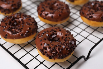 Wall Mural - Chocolate donuts on grate on white background, close up