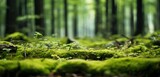 Fototapeta Las - Moss-covered forest floor background. Generative AI
