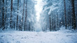 © Keitma - Low angle winter forest landscape blurry background with snow trees and snowfall