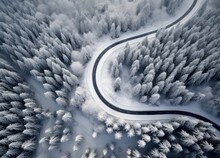the shot shows a winter road in snow covered trees