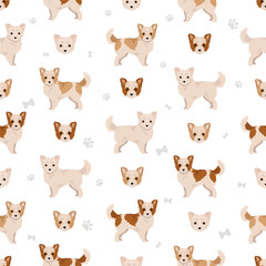  Malchi seamless pattern. Maltese Chihuahua mix. Different coat colors set
