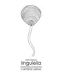 Lingulella phosphatic-shelled brachiopod, a Cambrian period creature, black and white line art illustration. Ideal for both coloring and educational purposes