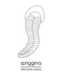 Spriggina, an Ediacaran period creature, black and white line art. Perfect for coloring and educational purposes.