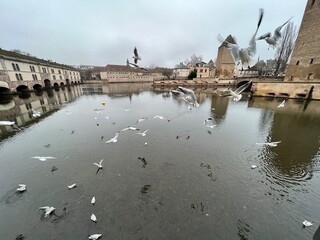 charles bridge