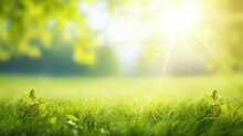 Spring Summer Background With Frame Of Grass And Leaves On Nature. Juicy Lush Green Grass On Meadow In Morning Sunny Light Outdoors, Copy Space, Soft Focus, Defocus Background.