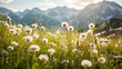 Alpine meadow with dandelions and mountains in the background