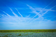 contrails in the sky with corn field