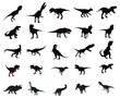Set of 25 black silhouettes of dinosaurs on a white background
