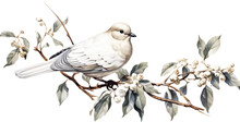 Two Doves Hold Mistletoe In Front Of A Clear White Background, Creating A Romantic Holiday Scene.
