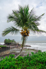 Canvas Print - Tanah Lot Temple, Bali