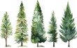 Set of watercolor Christmas trees hand drawn on a white background. AI, Generative AI